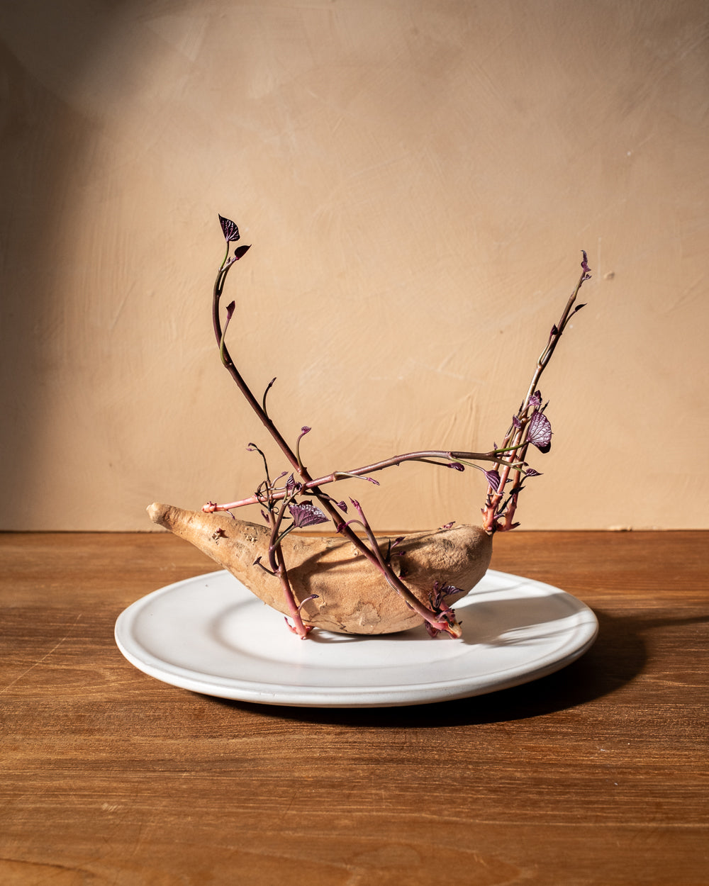 Oval White Dessert Plate Set Of 4 Uvn 1000149 2