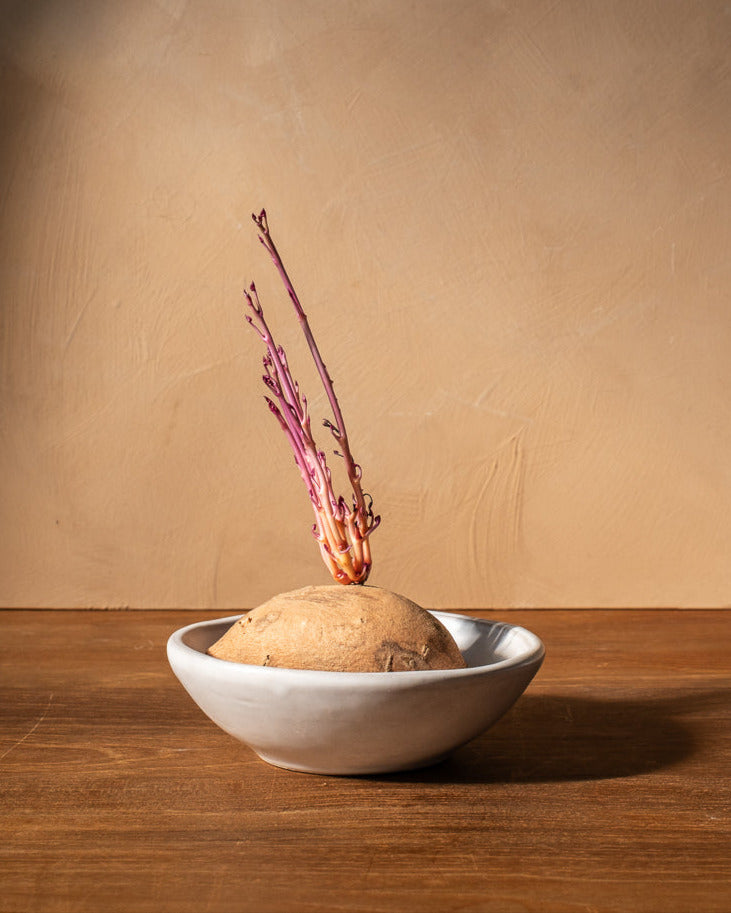 Oval White Lip Bowl Set Of 4 Uvn 1000151 2