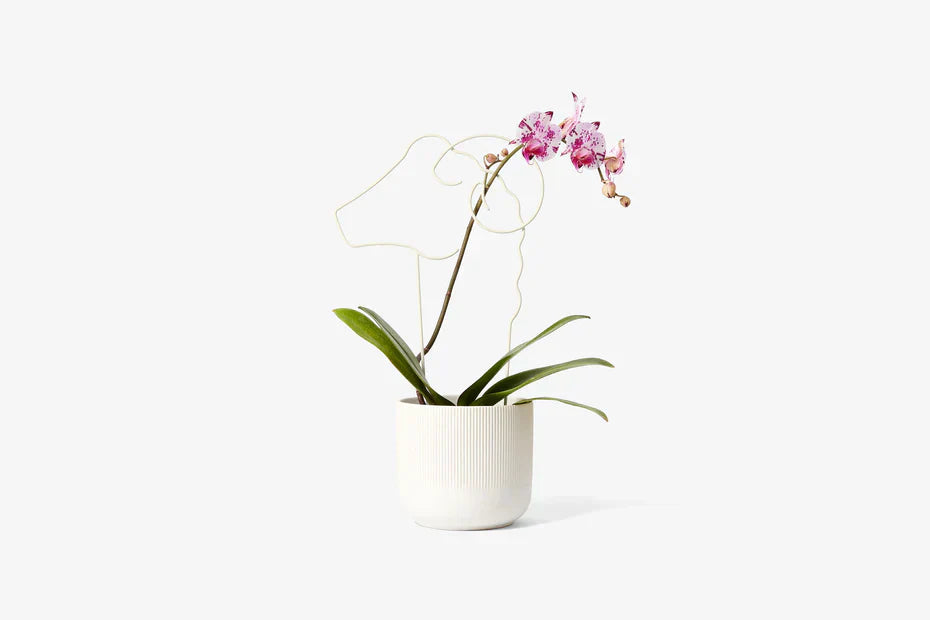 Green Thumb Gift Set