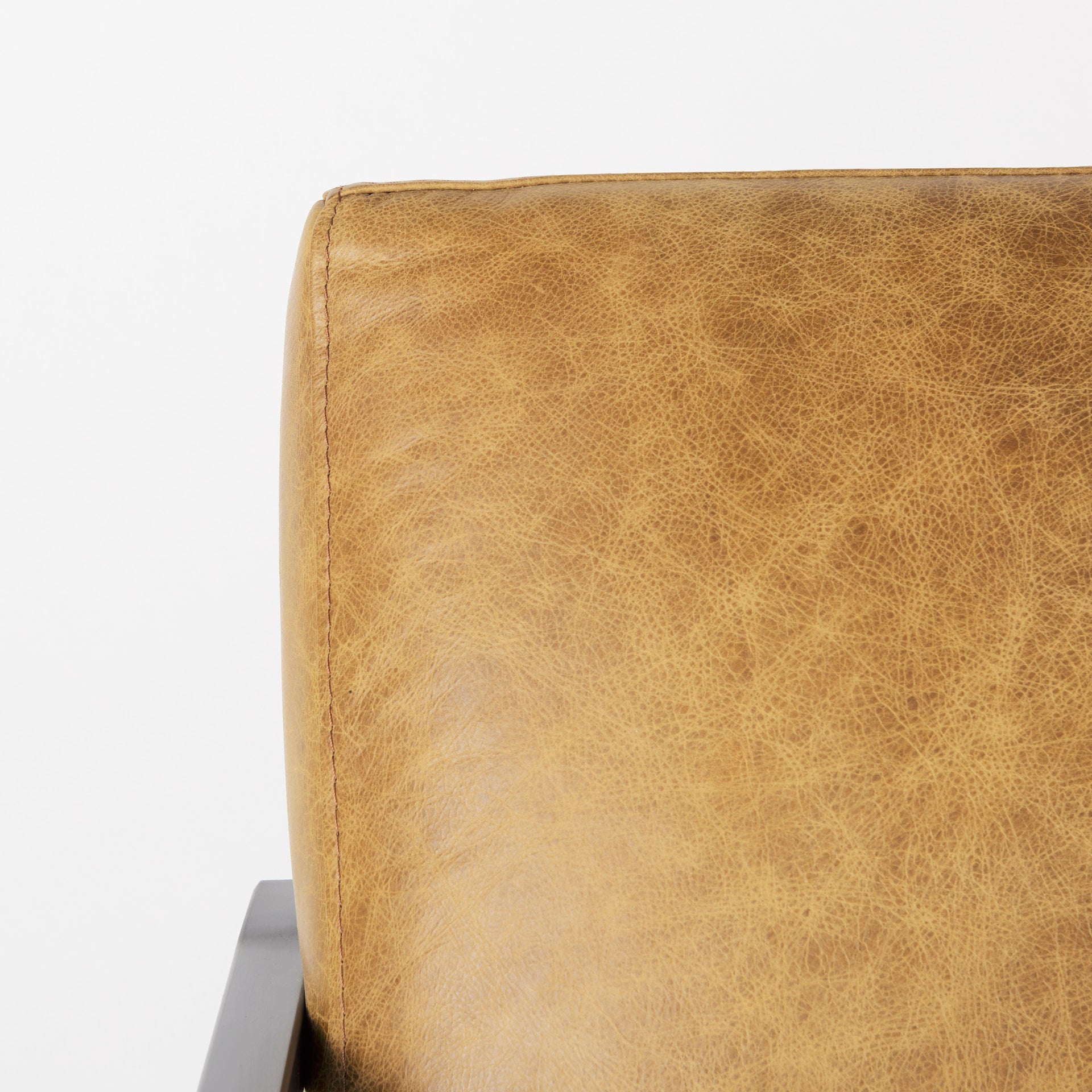 Armelle Leather Accent Chair Mercana Mer 67083 9