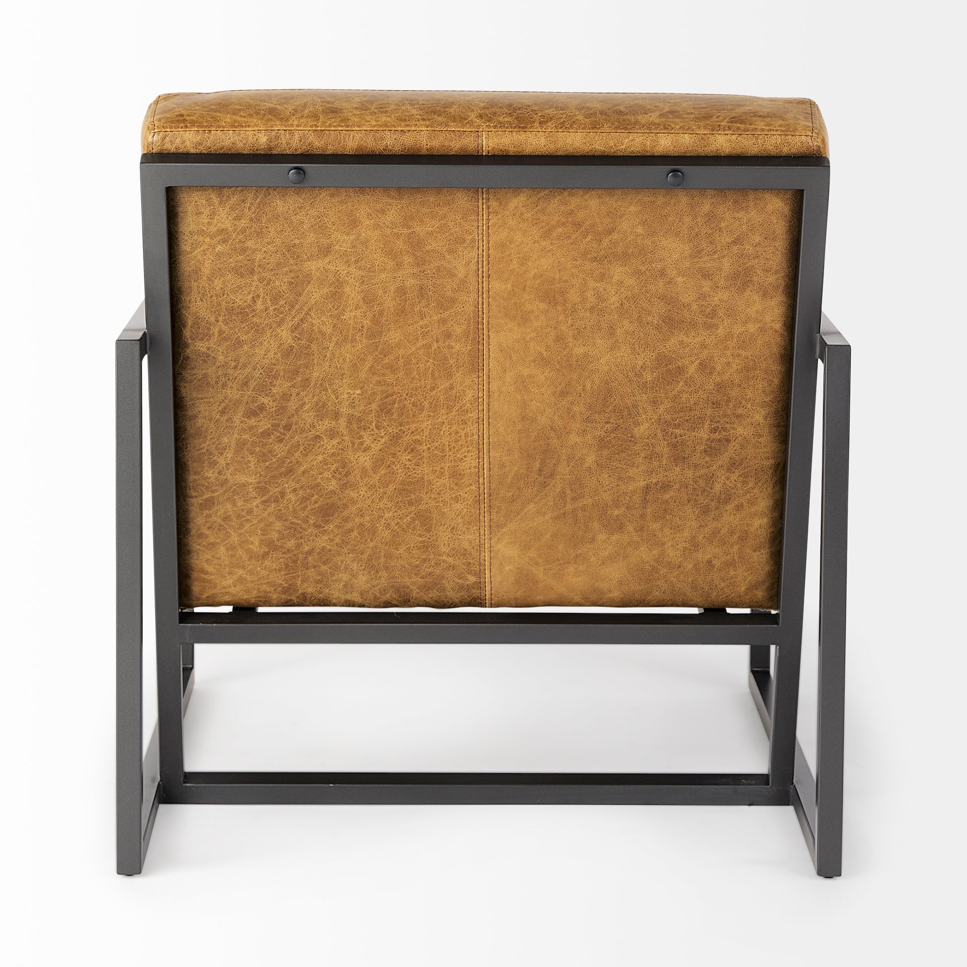 Armelle Leather Accent Chair Mercana Mer 67083 7