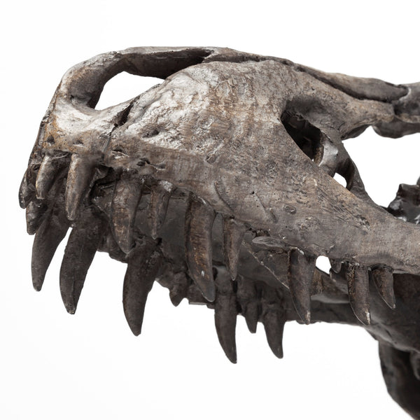 Jurassic Object Mercana Mer 57430 13