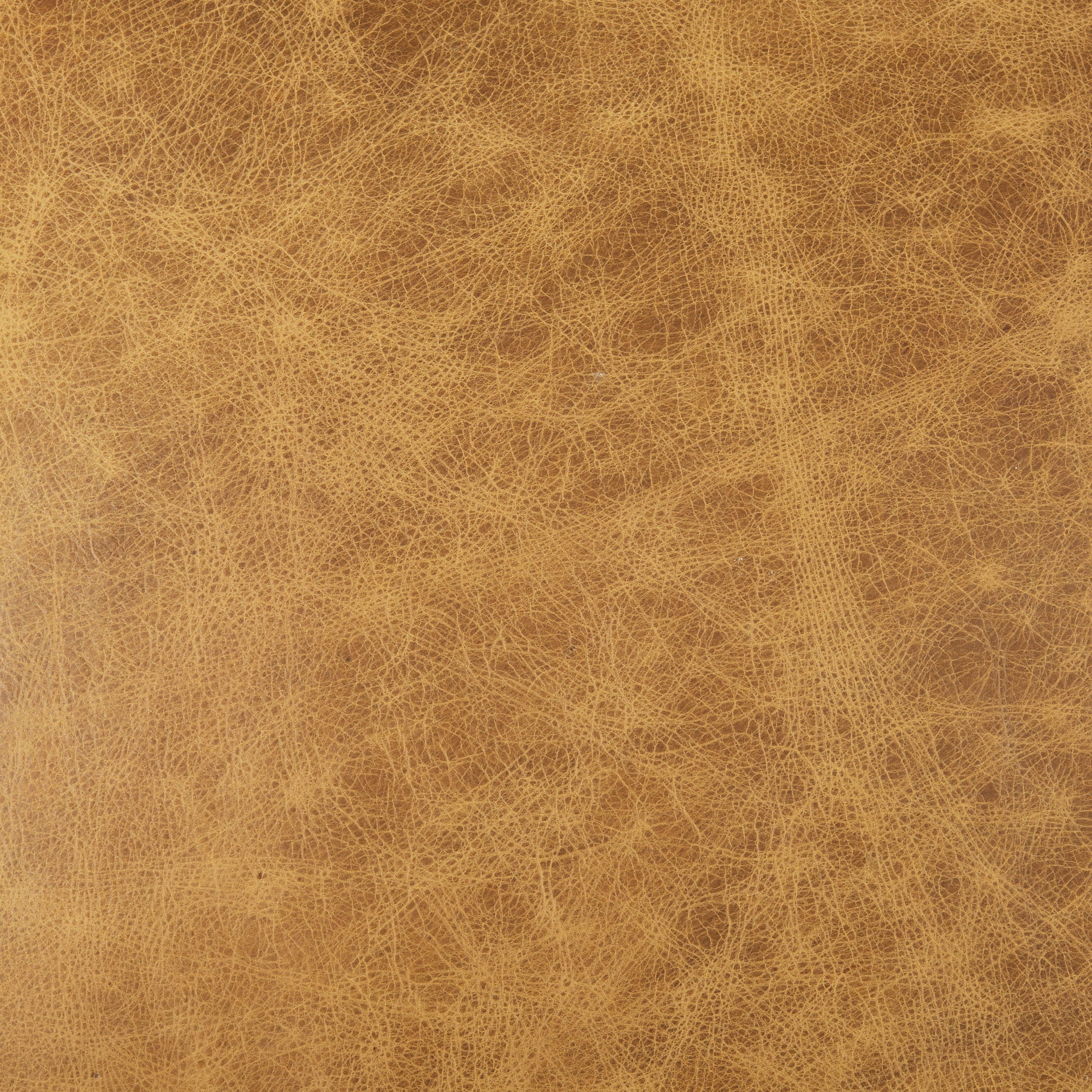 Armelle Leather Accent Chair Mercana Mer 67083 15