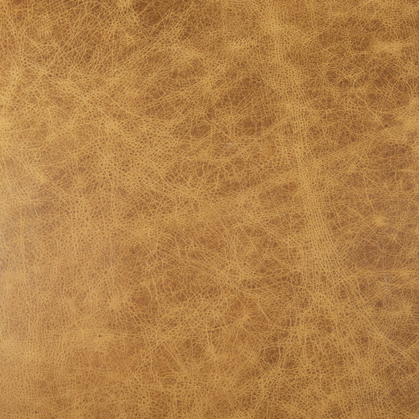 Armelle Leather Accent Chair Mercana Mer 67083 15
