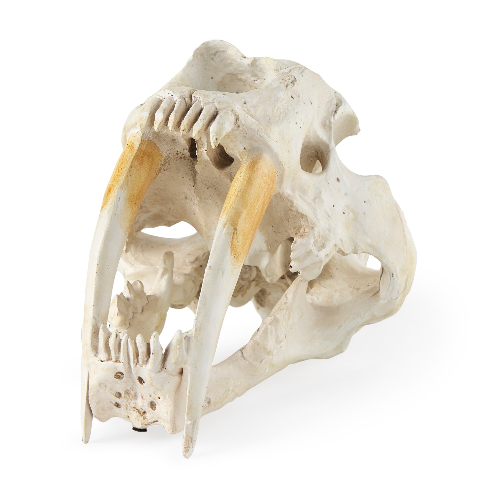 Fozzil Object Mercana Mer 57425 1