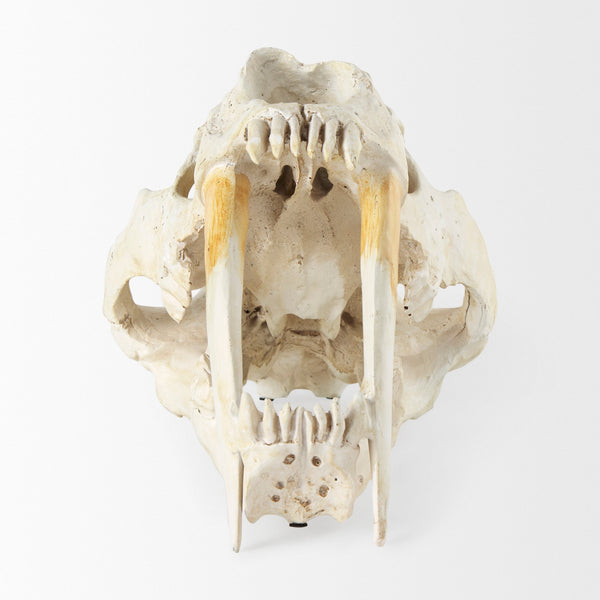 Fozzil Object Mercana Mer 57425 2