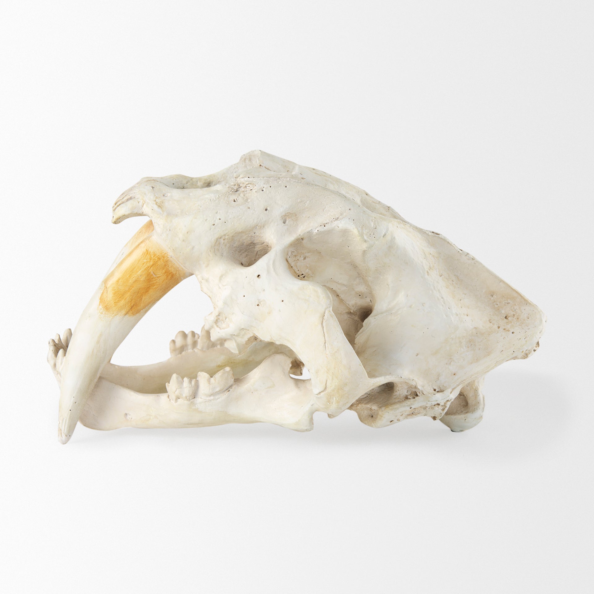Fozzil Object Mercana Mer 57425 3