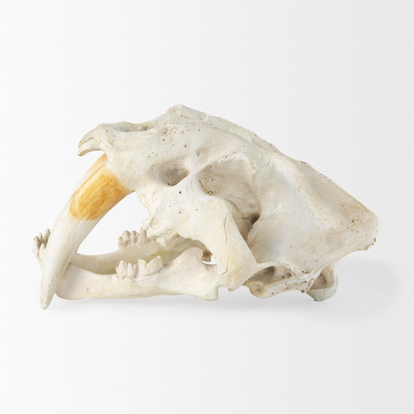 Fozzil Object Mercana Mer 57425 3