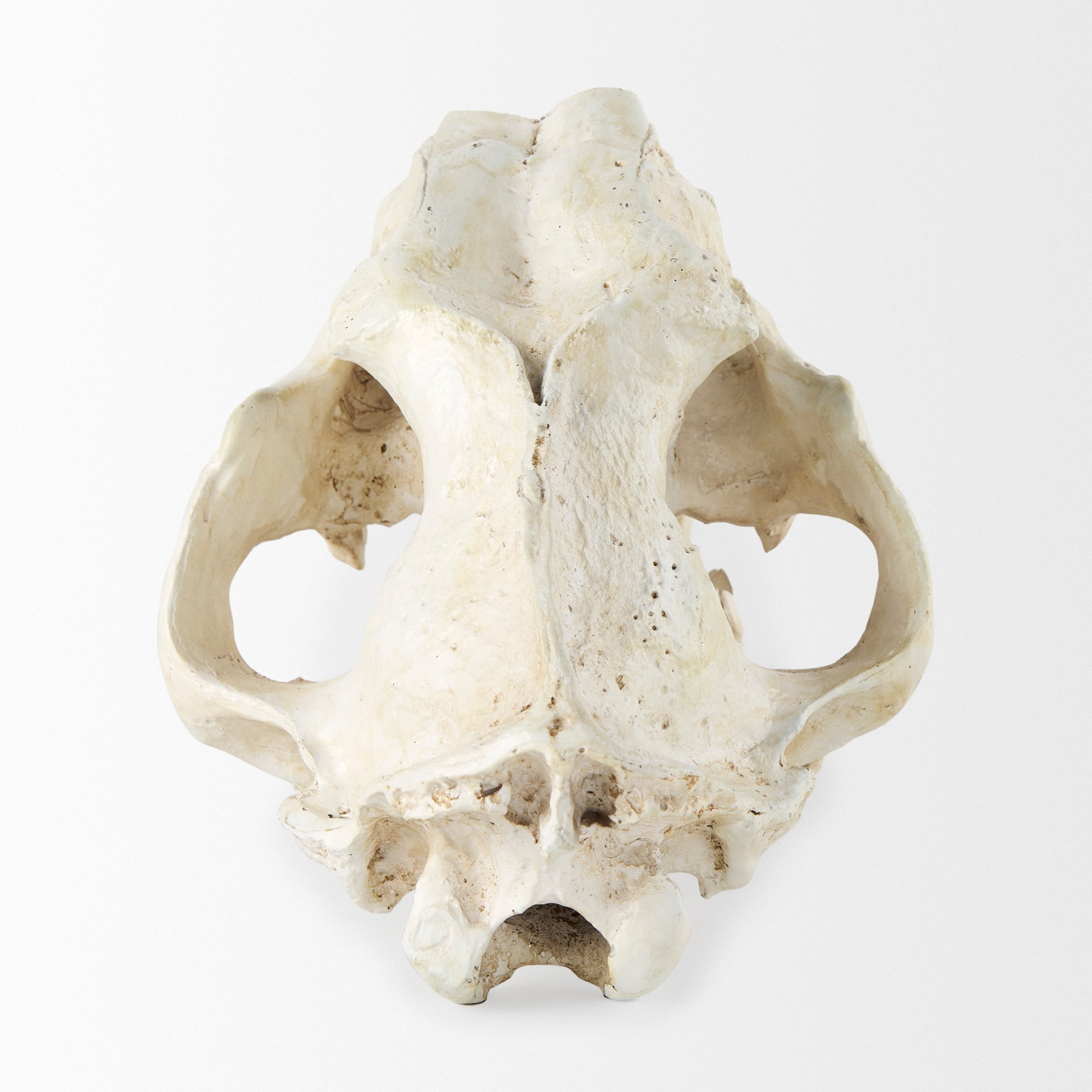 Fozzil Object Mercana Mer 57425 4