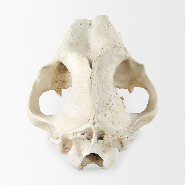 Fozzil Object Mercana Mer 57425 4
