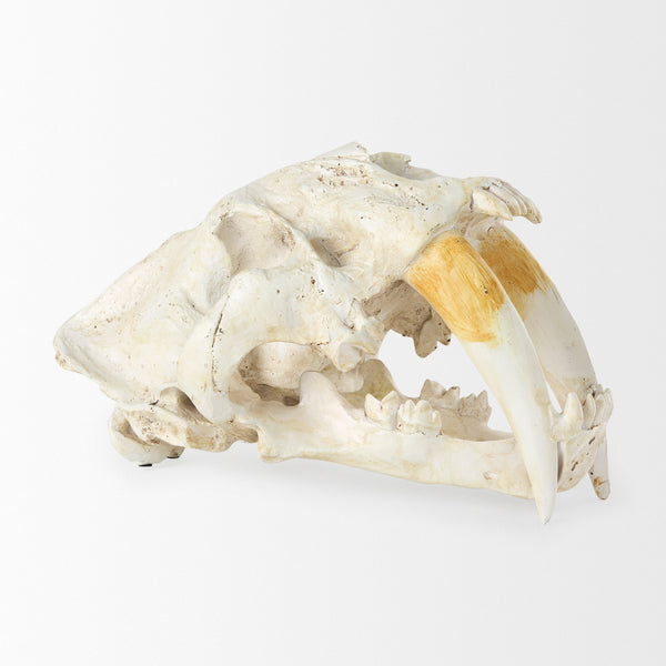 Fozzil Object Mercana Mer 57425 5