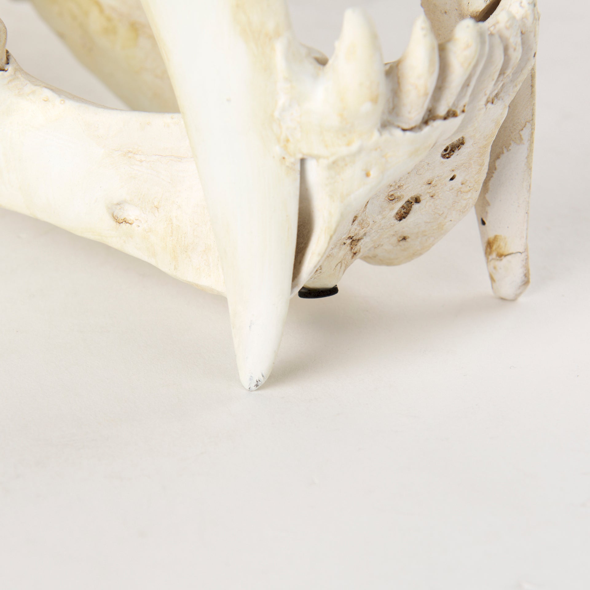 Fozzil Object Mercana Mer 57425 9