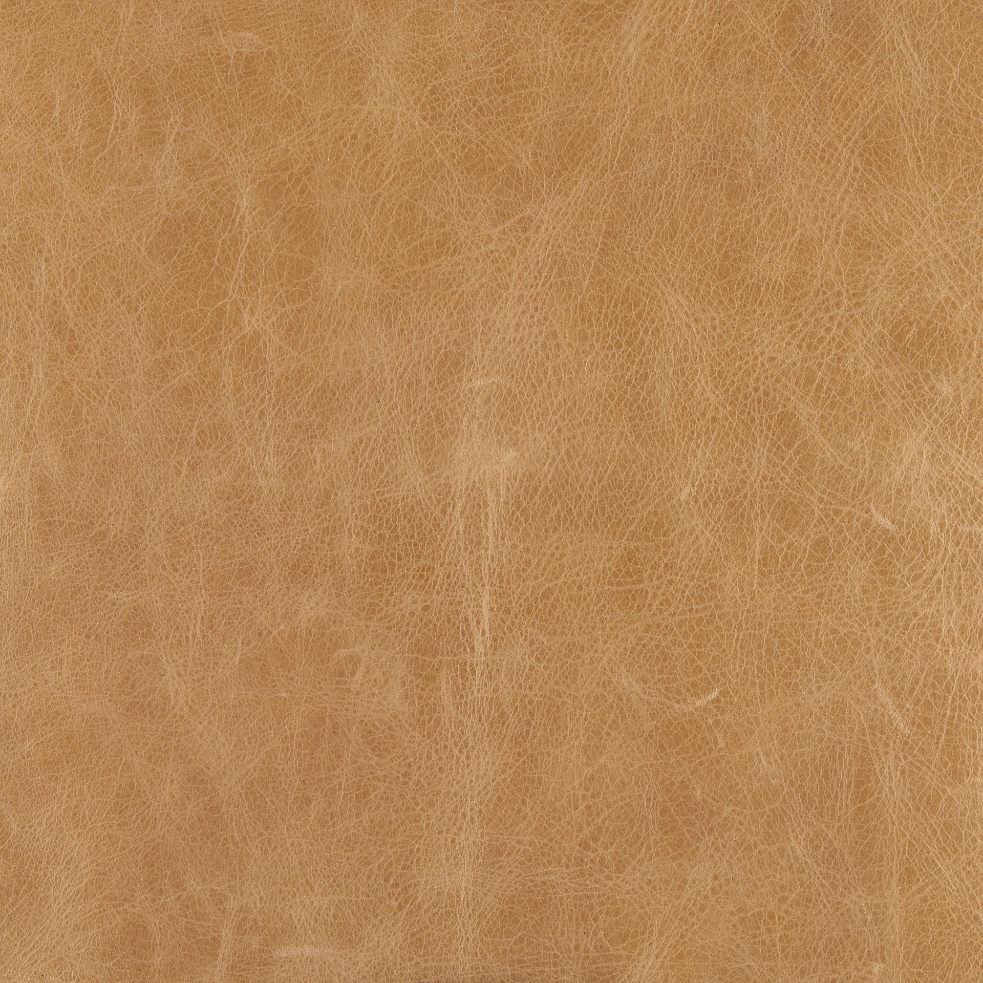 Stratton Leather Accent Chair Mercana Mer 70869 21