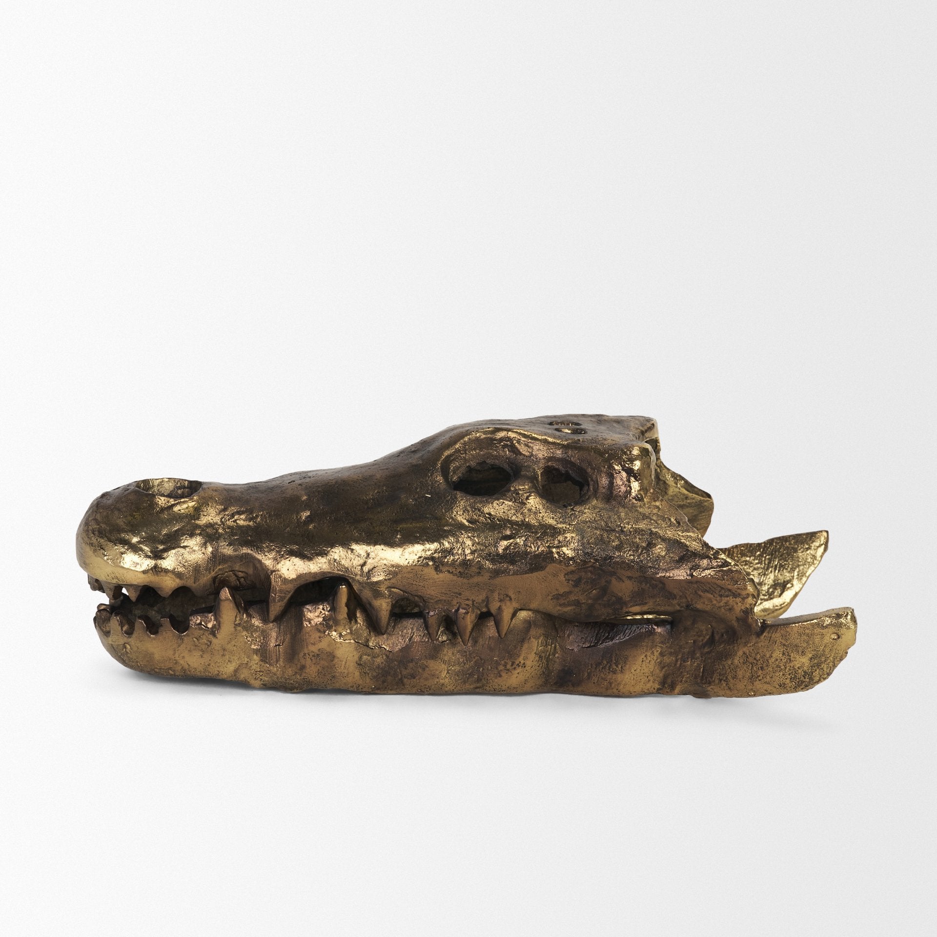 Allistair Skull Object Mercana Mer 71170 3