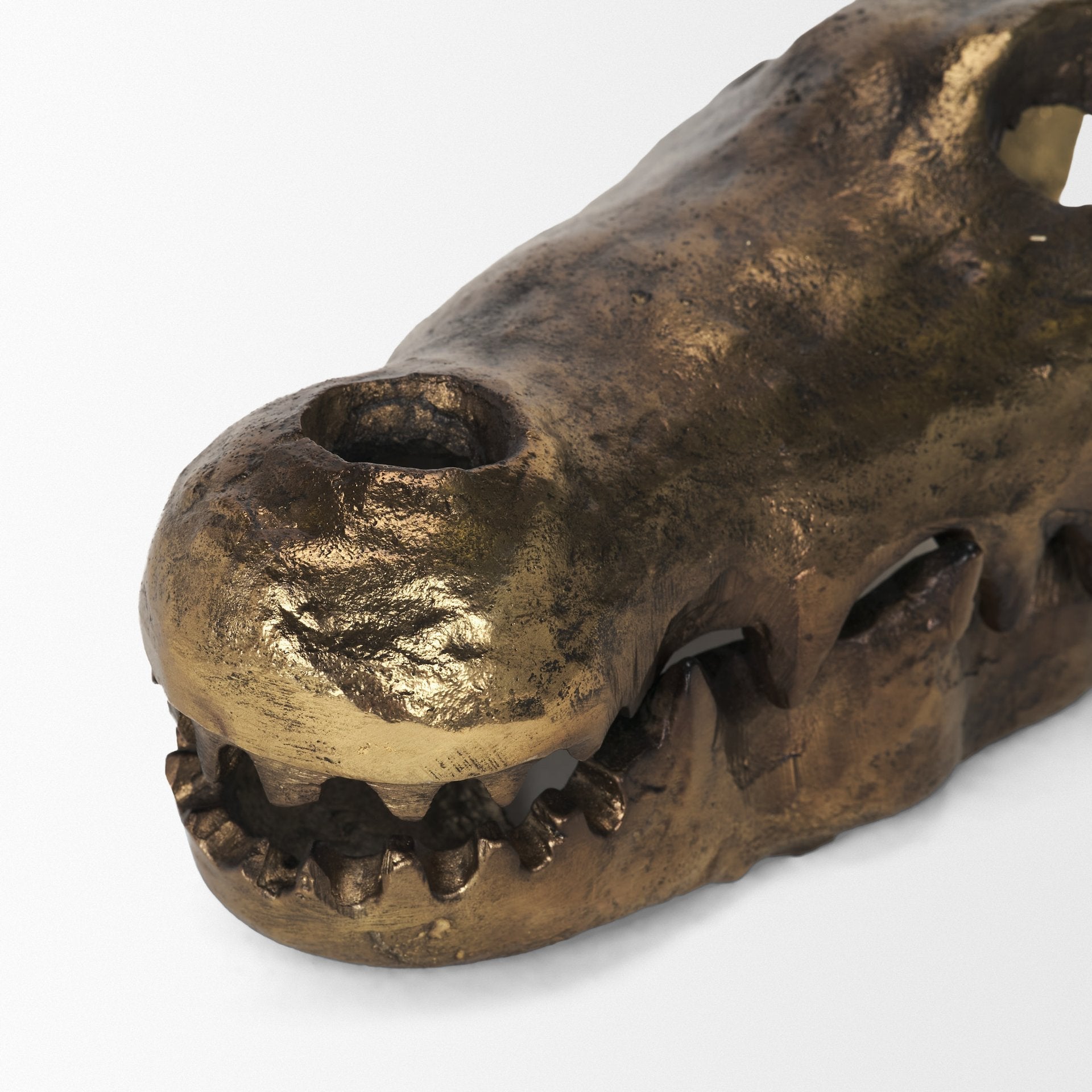 Allistair Skull Object Mercana Mer 71170 5