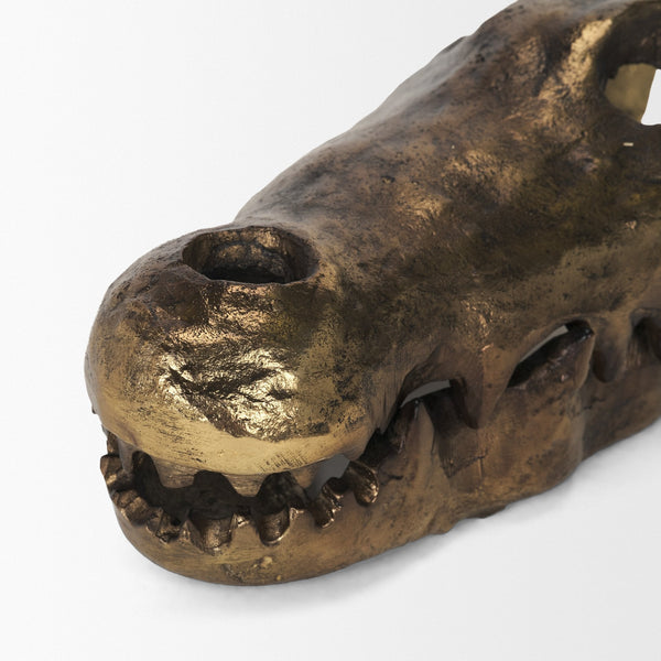 Allistair Skull Object Mercana Mer 71170 5