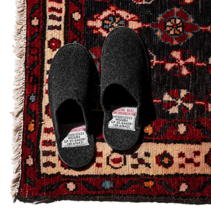 Slipper 1