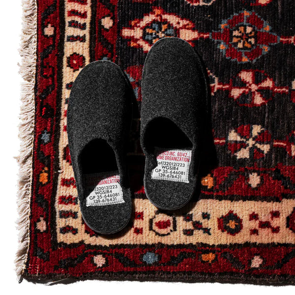 Slipper 1