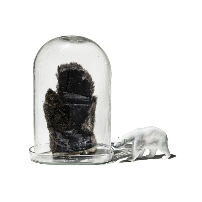 Display Glass Dome 6