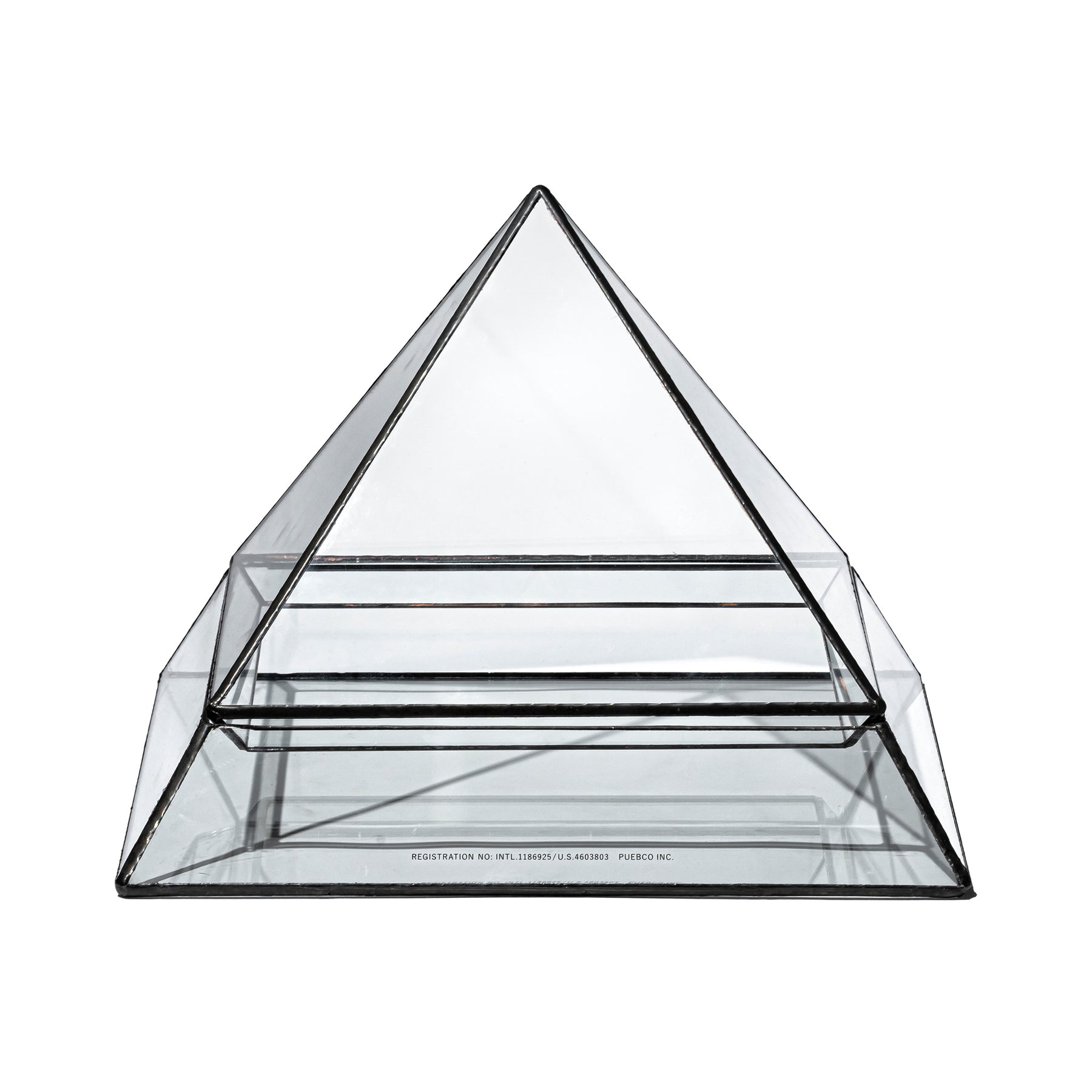 Stained Glass Plant Display 114514 3