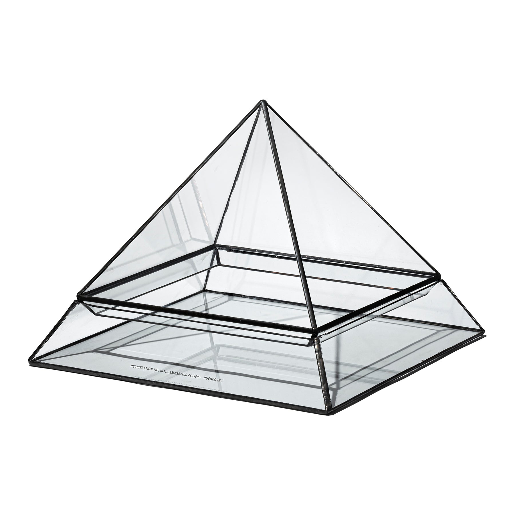 Stained Glass Plant Display 114514 1