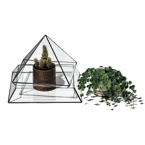 Stained Glass Plant Display 114514 4