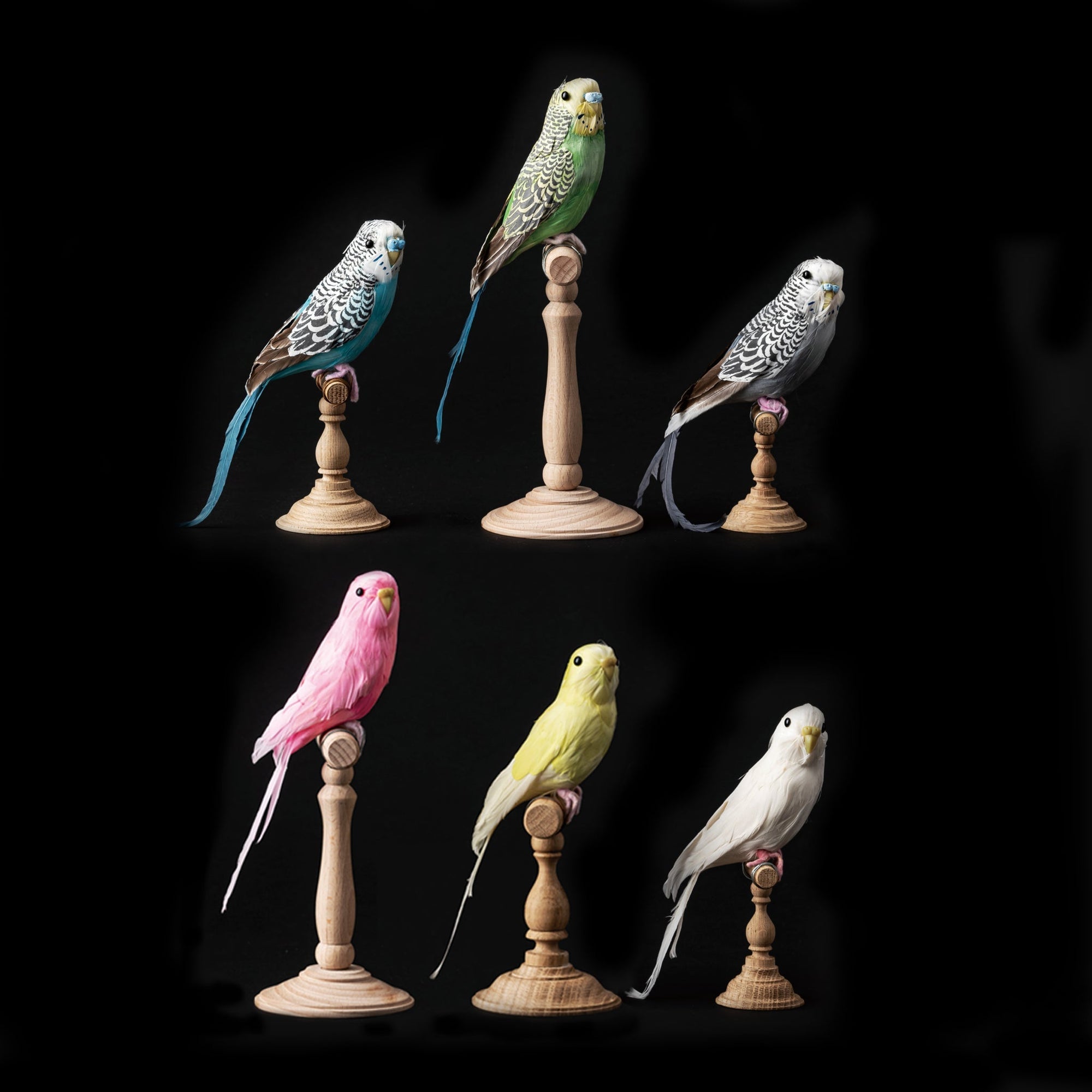 Artificial Birds Budgie 13