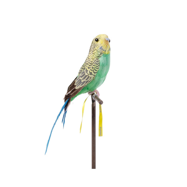 Artificial Birds Budgie 5