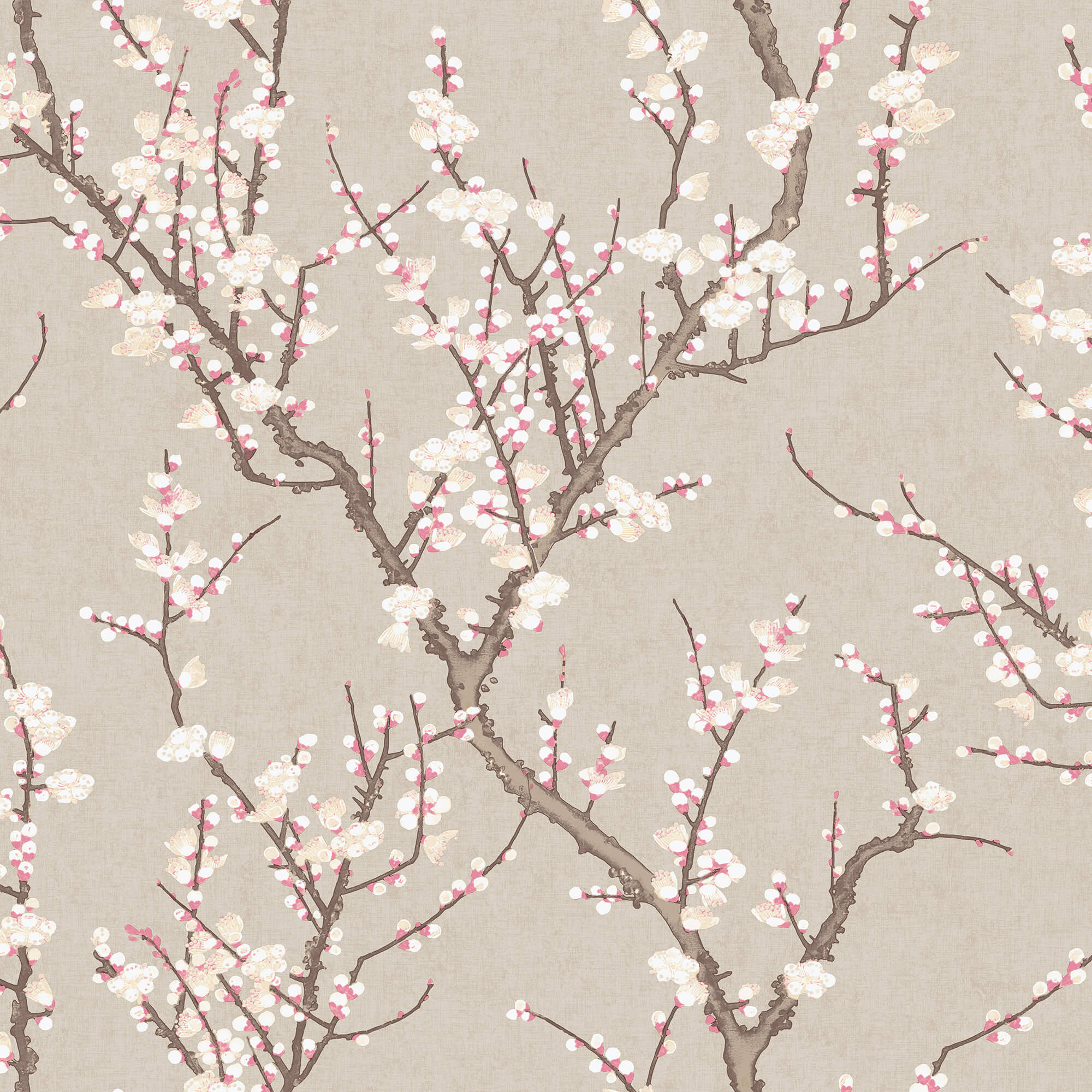 Spring Blossom Sakura Tree Wallpaper in Beige