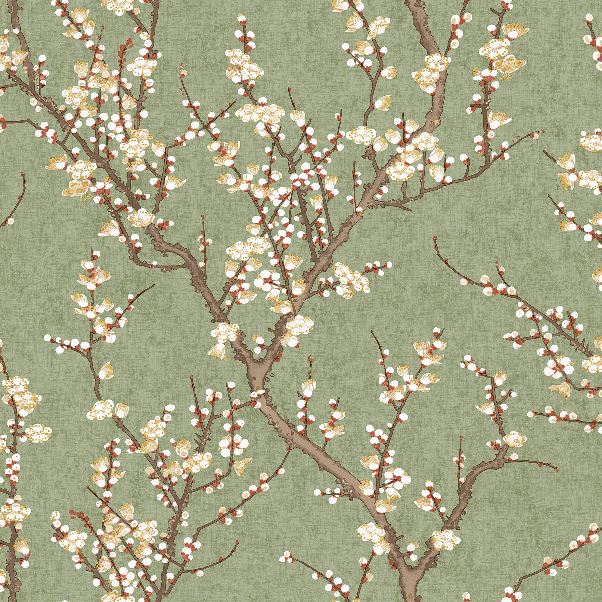 Sample Spring Blossom Sakura Tree Wallpaper in Green