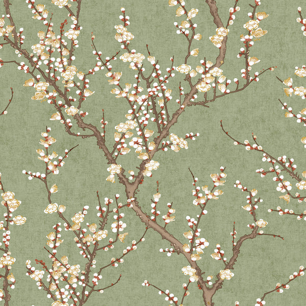 Spring Blossom Sakura Tree Wallpaper in Green