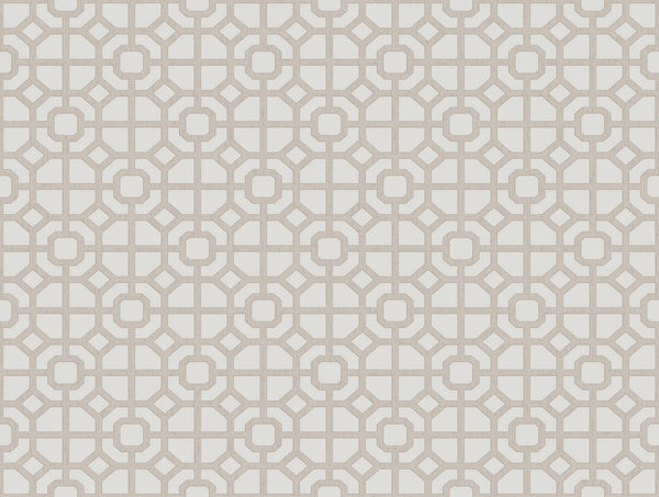 Spring Blossom Lattice Wallpaper in Beige