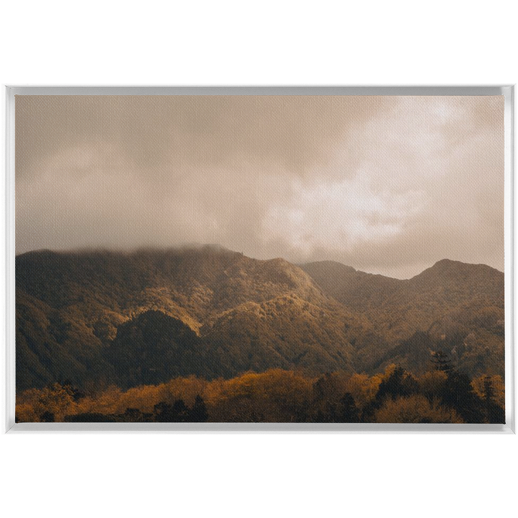 FramedTraditionalCanvas_moon-40x60-White-20220502103614599