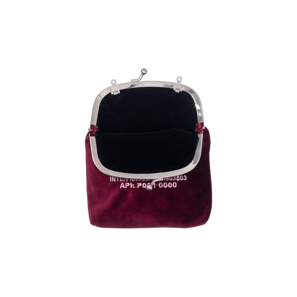 Velvet Frame Pouch 5