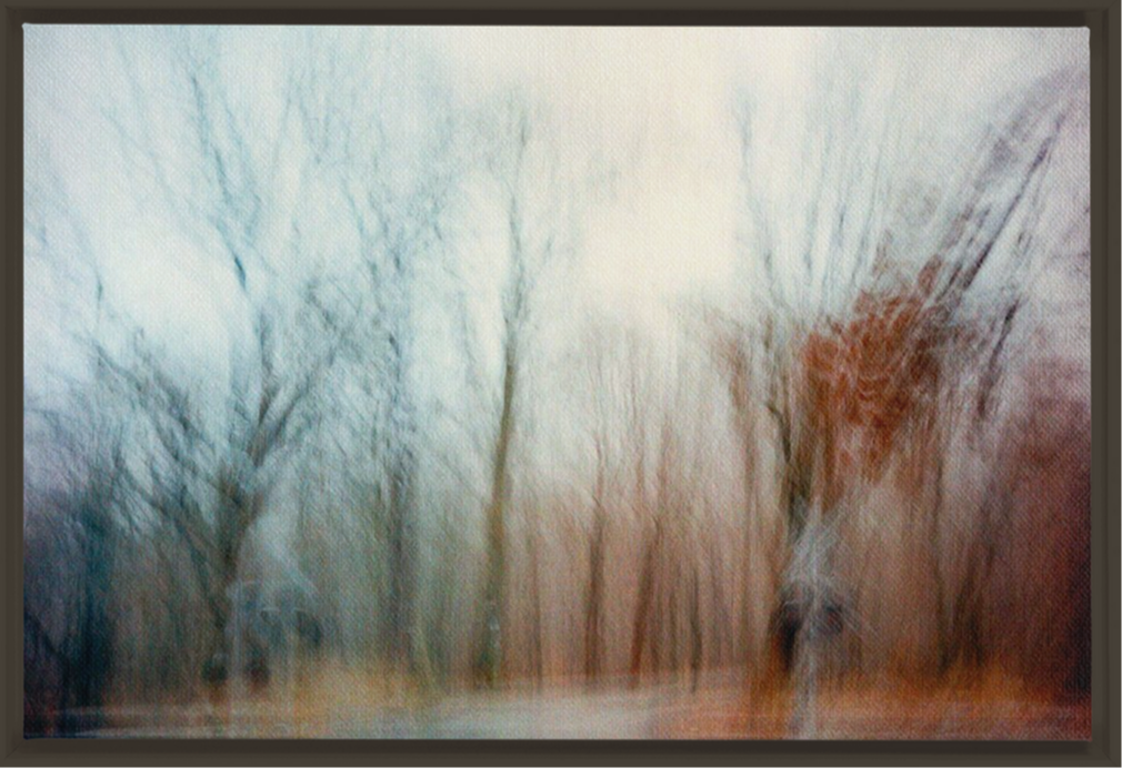 FramedCanvs-32x48-Espresso-20240611163605749
