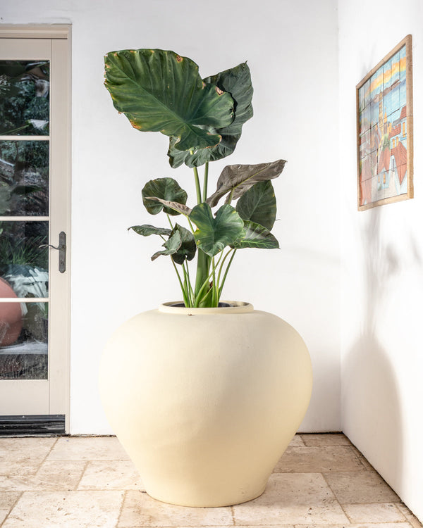 Grand Outdoor Resin Vessel Moon Garden 2