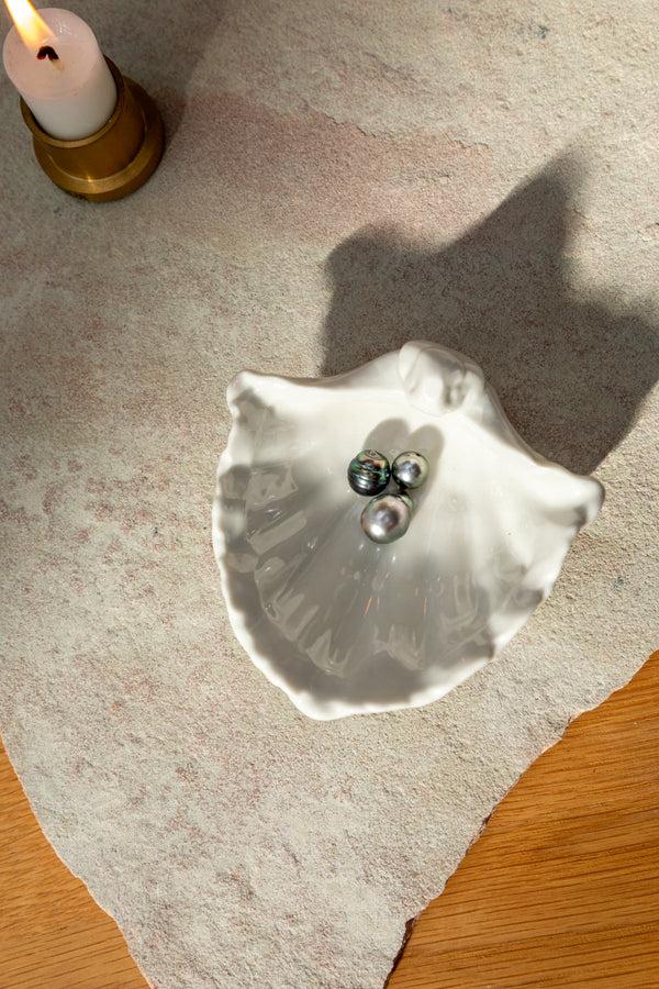 Shell Tray 8