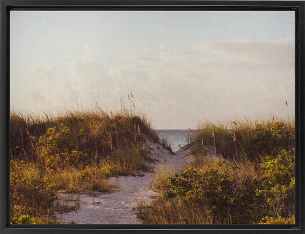 FramedTraditionalCanvas-30x40-Black-20210817143934274