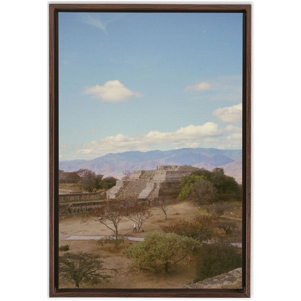 FramedTraditionalCanvas-24x36-Walnut-20250528182537743