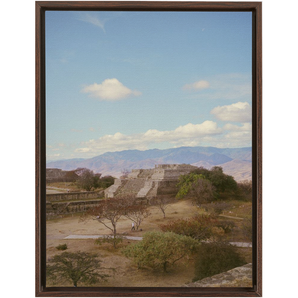 FramedTraditionalCanvas-30x40-Walnut-20250528182537775