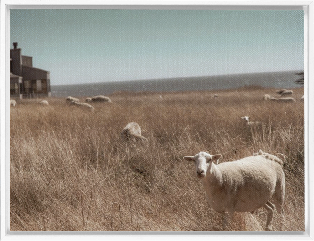 FramedCanvs-30x40-White-20210803070451574