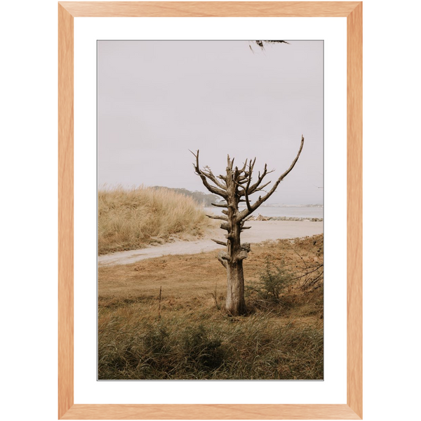 Framed_20x30_Natural_Lustre-20250507133308545