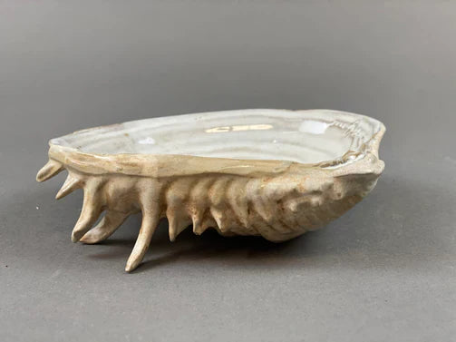 yarnnakarn oceanology channeled clam shell dish 4