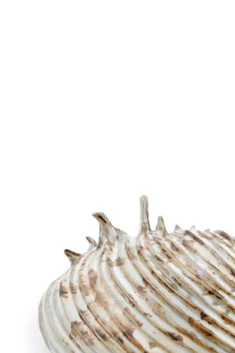 yarnnakarn oceanology channeled clam shell dish 2