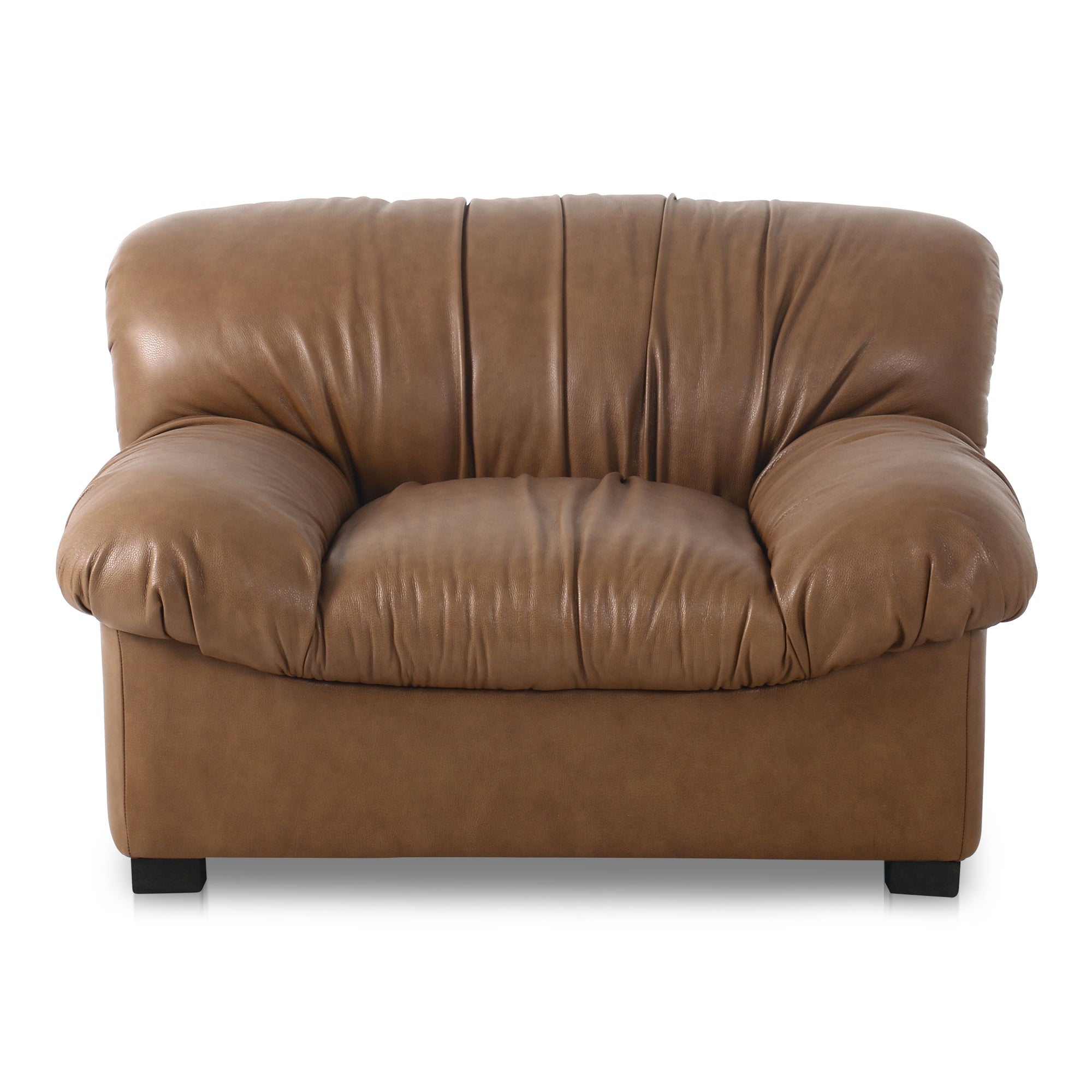 Halston Lounge Chair Moes Home Collection Mhc Az 1004 05 1