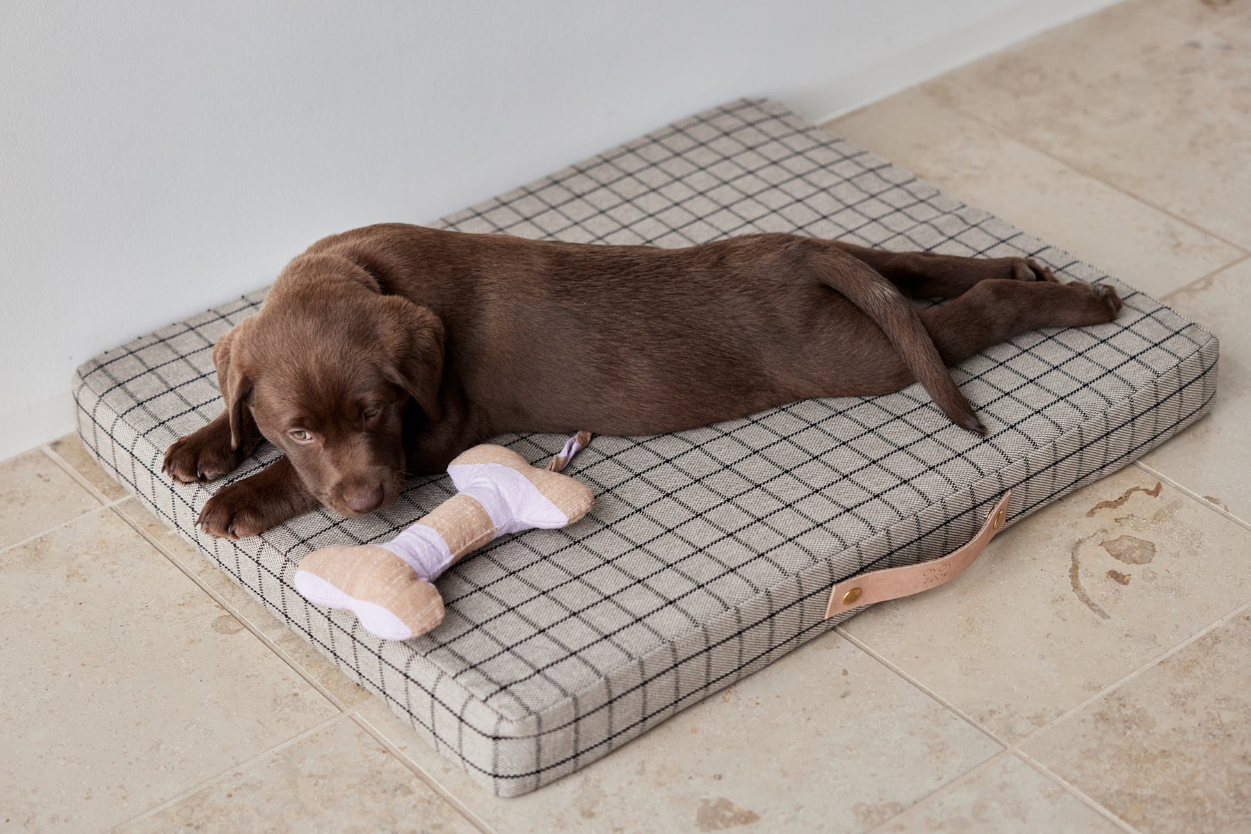 ashi dog toy lavender amber 7