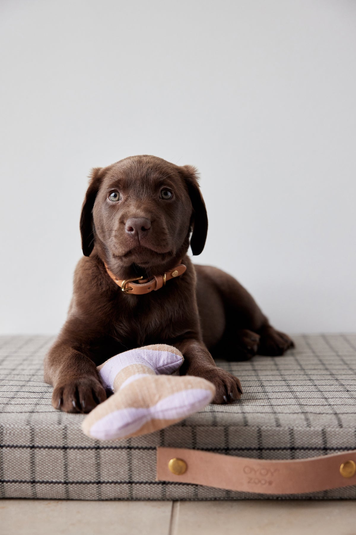 ashi dog toy lavender amber 5