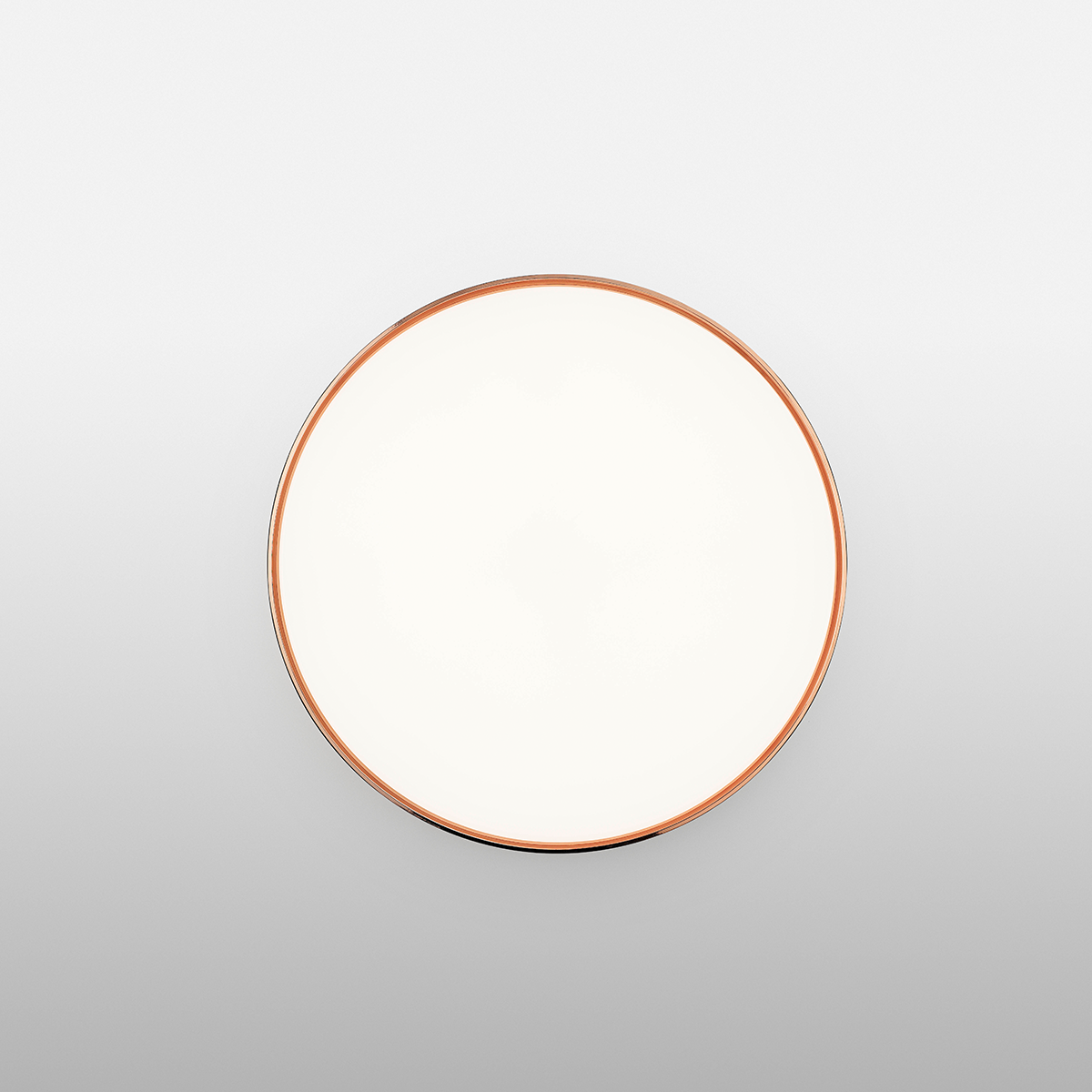Clara Polycarbonate Wall & Ceiling Lighting in Various Colors & Sizes