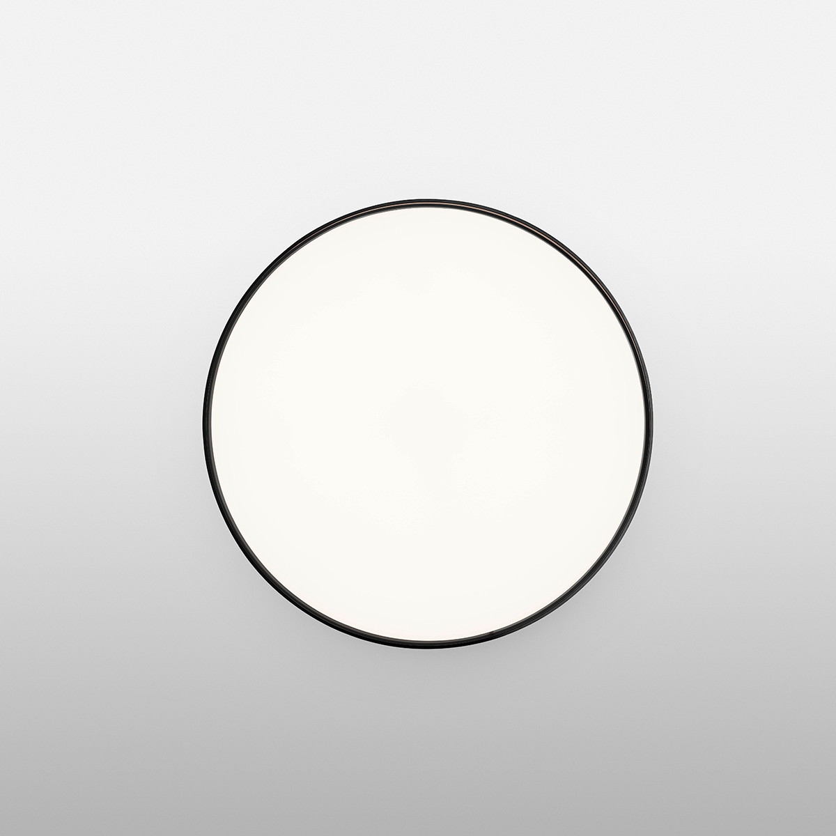 Clara Polycarbonate Wall & Ceiling Lighting in Various Colors & Sizes
