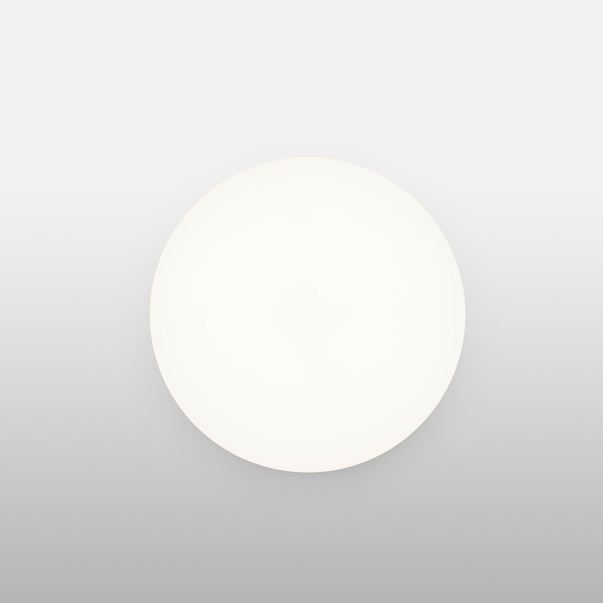 Clara Polycarbonate Wall & Ceiling Lighting in Various Colors & Sizes